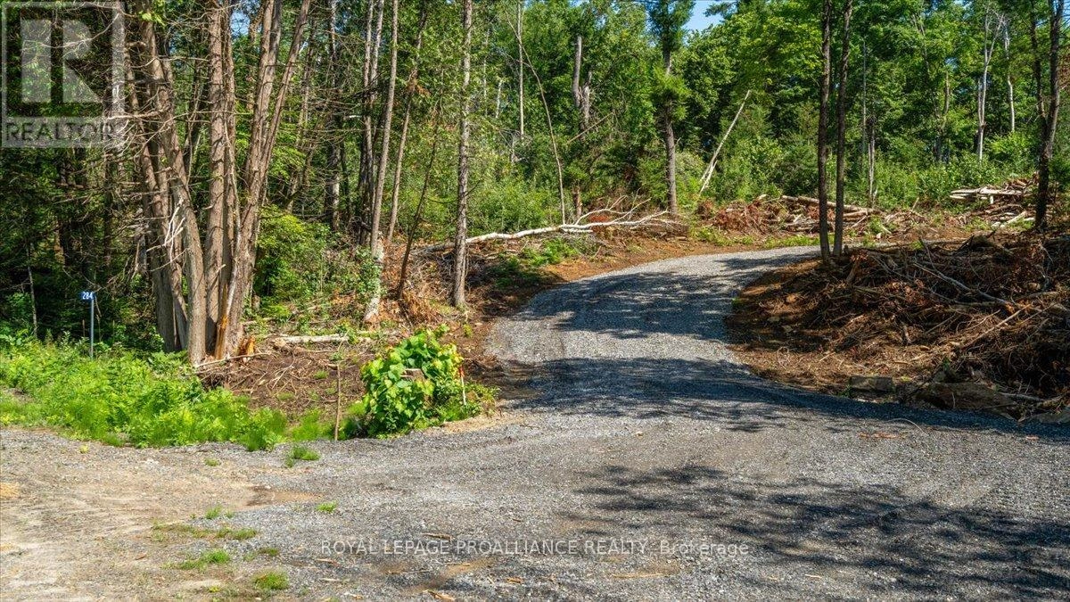 284 Limerick Lake Road, Tudor & Cashel, Ontario  K0L 1W0 - Photo 2 - X12298403