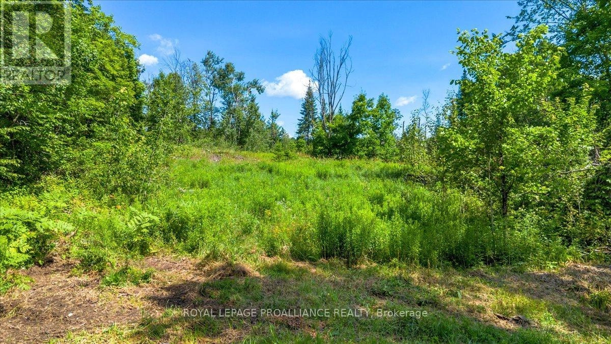 168 Limerick Lake Road, Tudor & Cashel, Ontario  K0L 1W0 - Photo 1 - X12298422