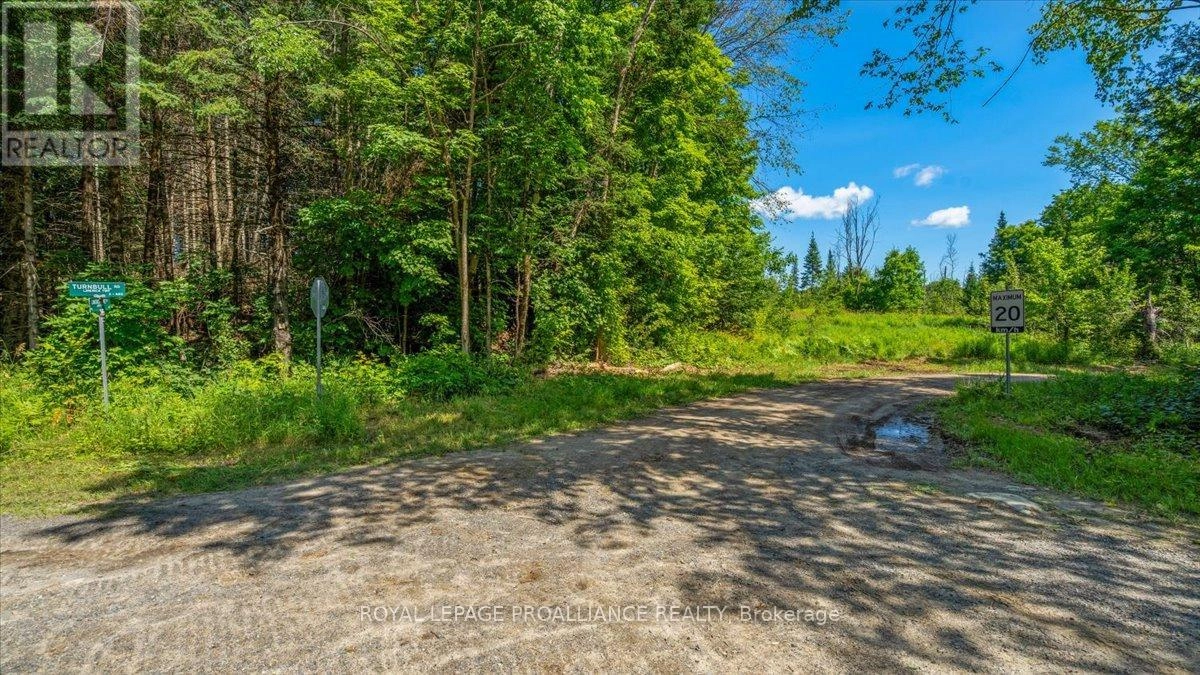 168 Limerick Lake Road, Tudor & Cashel, Ontario  K0L 1W0 - Photo 2 - X12298422