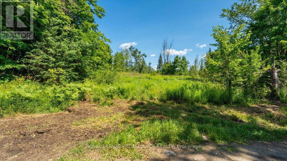 168 Limerick Lake Road, Tudor & Cashel, Ontario  K0L 1W0 - Photo 3 - X12298422