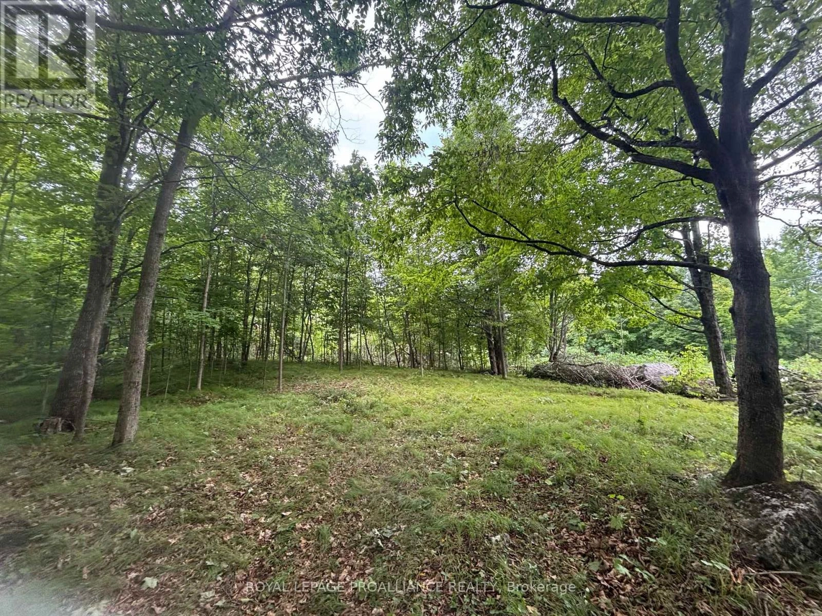 Severed B - 554 Pigden Road, Madoc, Ontario  K0K 2K0 - Photo 2 - X12283346