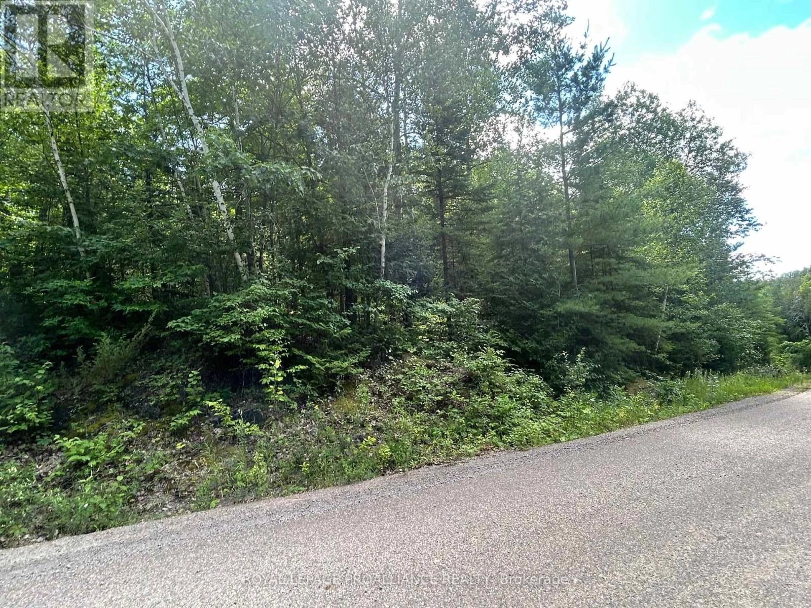 0 Trebbien Road, Bonnechere Valley, Ontario  K0J 1T0 - Photo 1 - X12300428