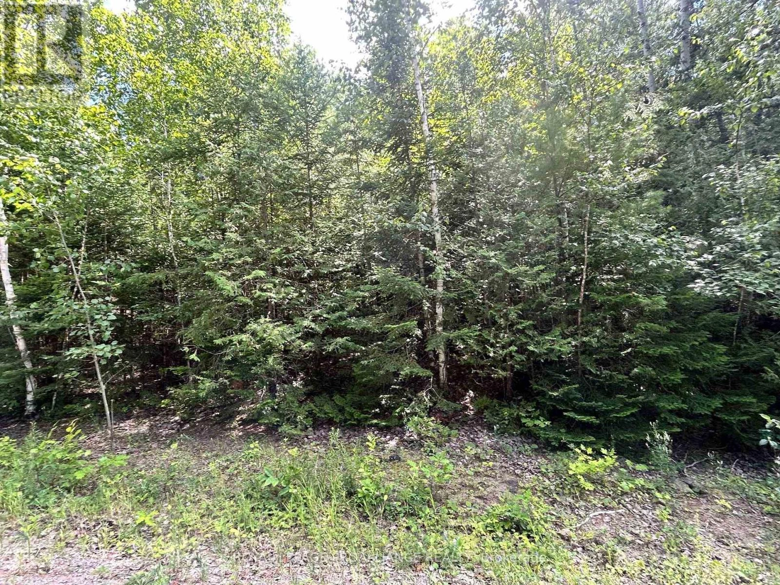 0 Trebbien Road, Bonnechere Valley, Ontario  K0J 1T0 - Photo 2 - X12300428