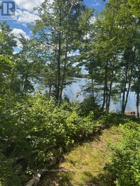 493 Buttermilk Lane N, Marmora And Lake, Ontario  K0K 2M0 - Photo 3 - X12301631