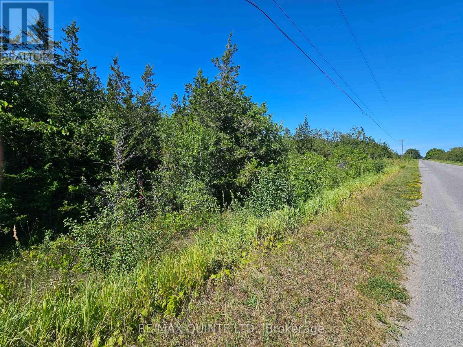 Beside 101 Royal Road, Prince Edward County, Ontario  K0K 2P0 - Photo 1 - X12305646