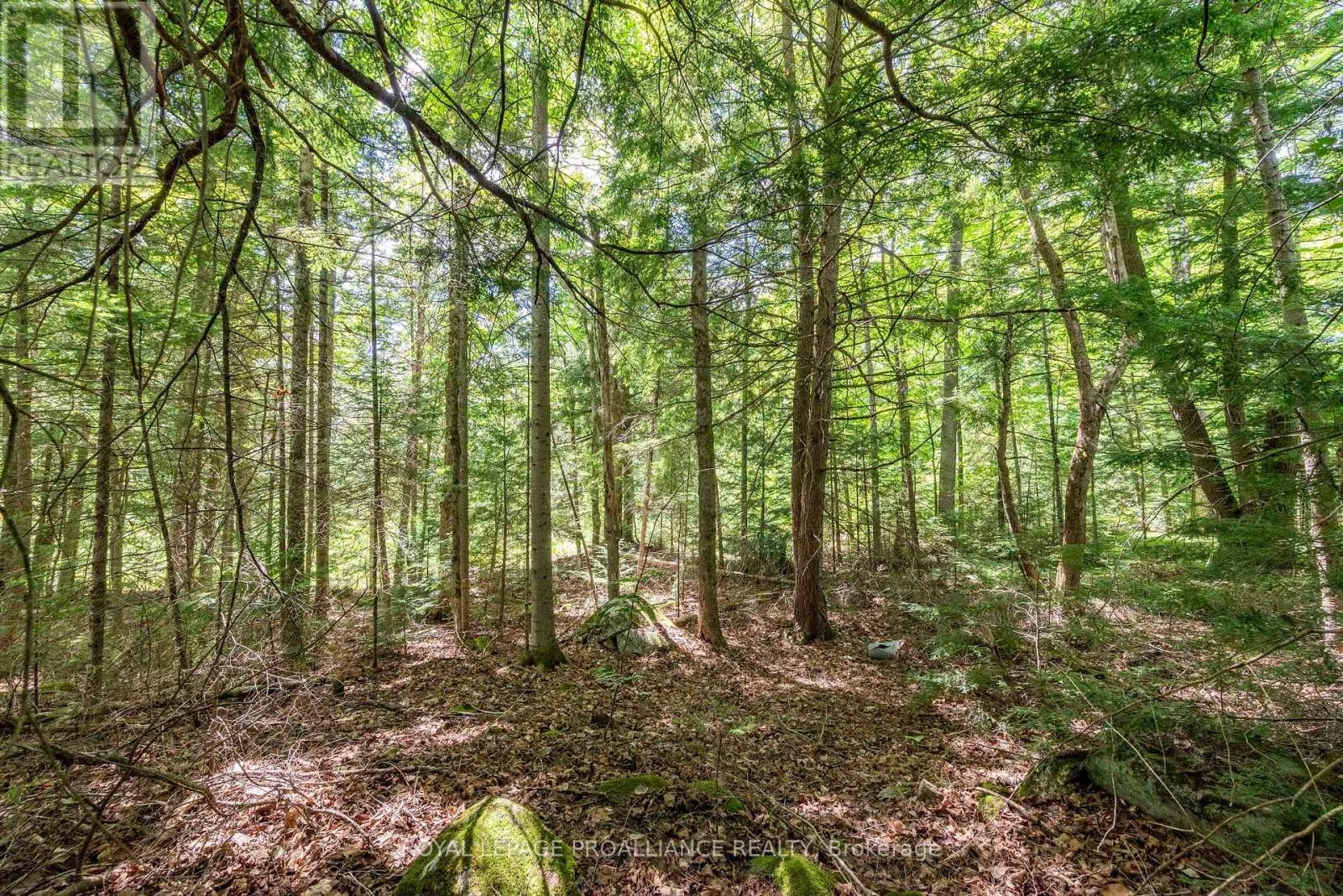 0 Buckshot Lake Road, North Frontenac, Ontario  K0H 2M0 - Photo 1 - X12298222