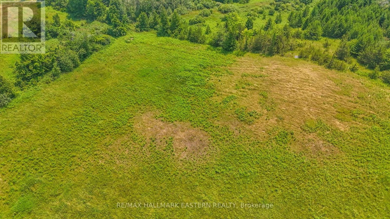 Lot 5 - N/a Con 10 Old Norwood Road, Havelock-Belmont-Methuen, Ontario  K0L 1Z0 - Photo 3 - X12304548
