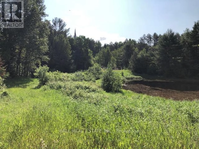 35956 Highway 62, Hastings Highlands, Ontario  K0L 2R0 - Photo 3 - X12311588