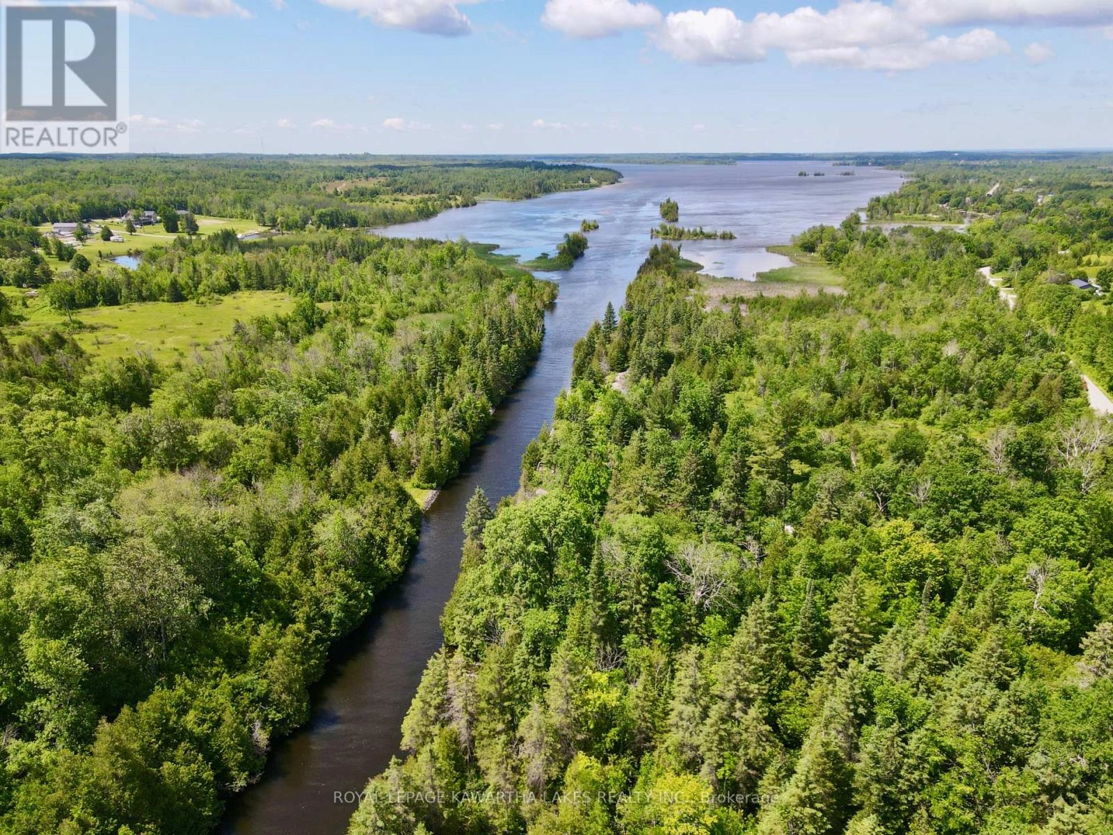 81 Mcguire Beach Road, Kawartha Lakes, Ontario  K0M 2B0 - Photo 3 - X12312657