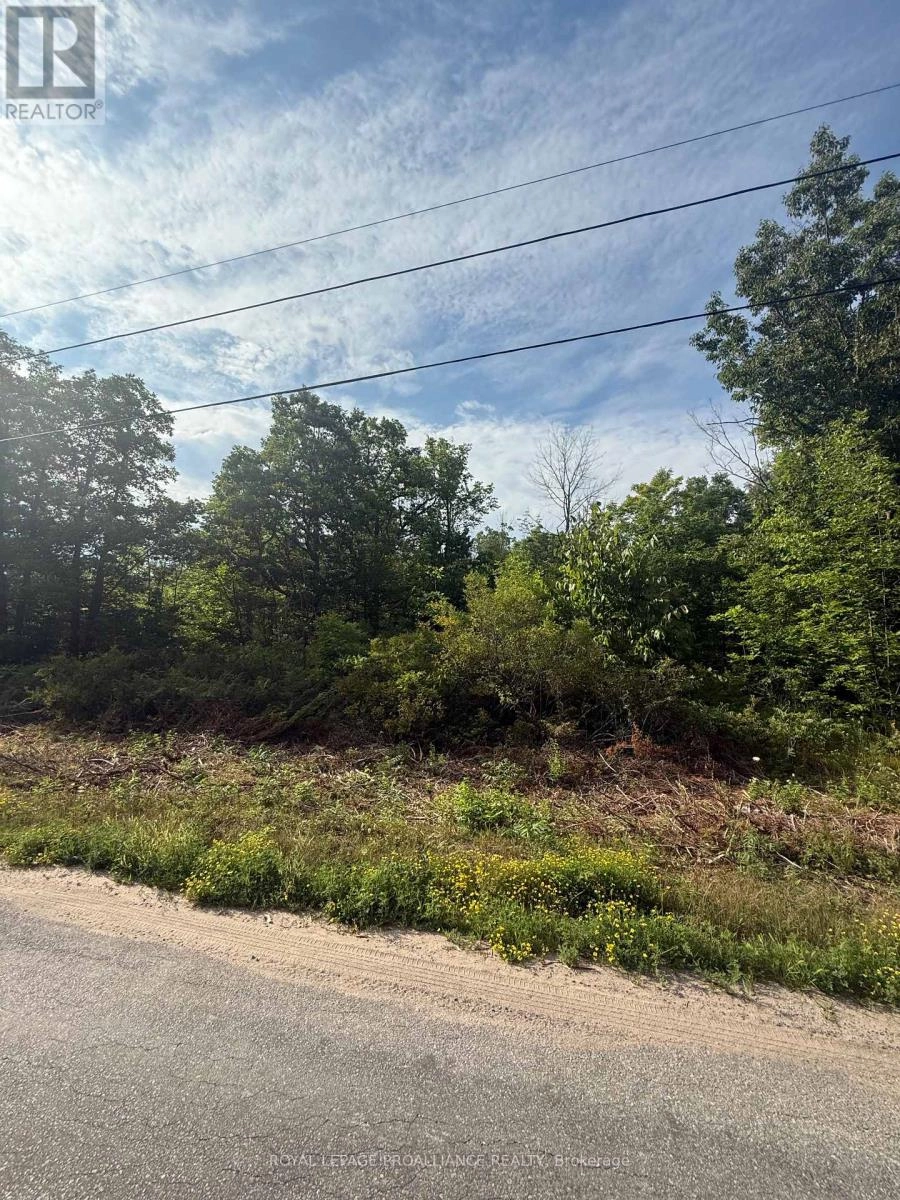 0 Rockhaven Road, Marmora And Lake, Ontario  K0K 2M0 - Photo 1 - X12314154