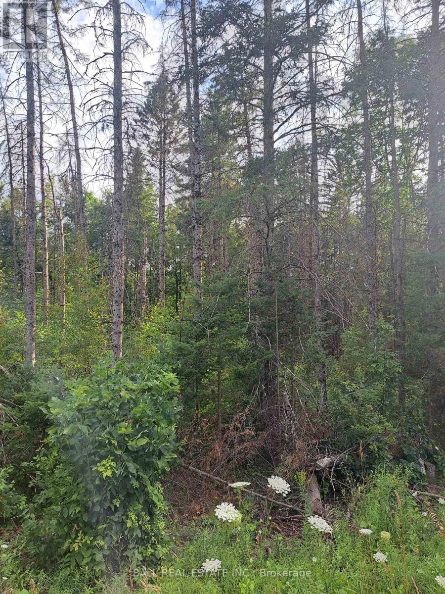 0 Cordova Road, Marmora And Lake, Ontario  K0L 2M0 - Photo 2 - X12319487