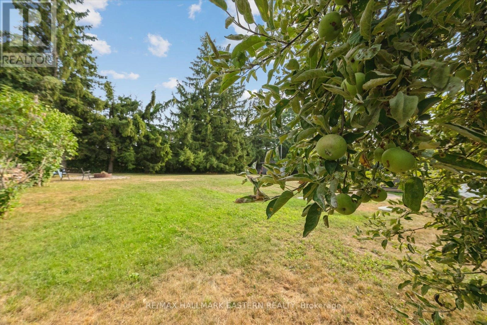 971 Jopling Drive, Selwyn, Ontario K0L 1H0 - Photo 22 - X12326974