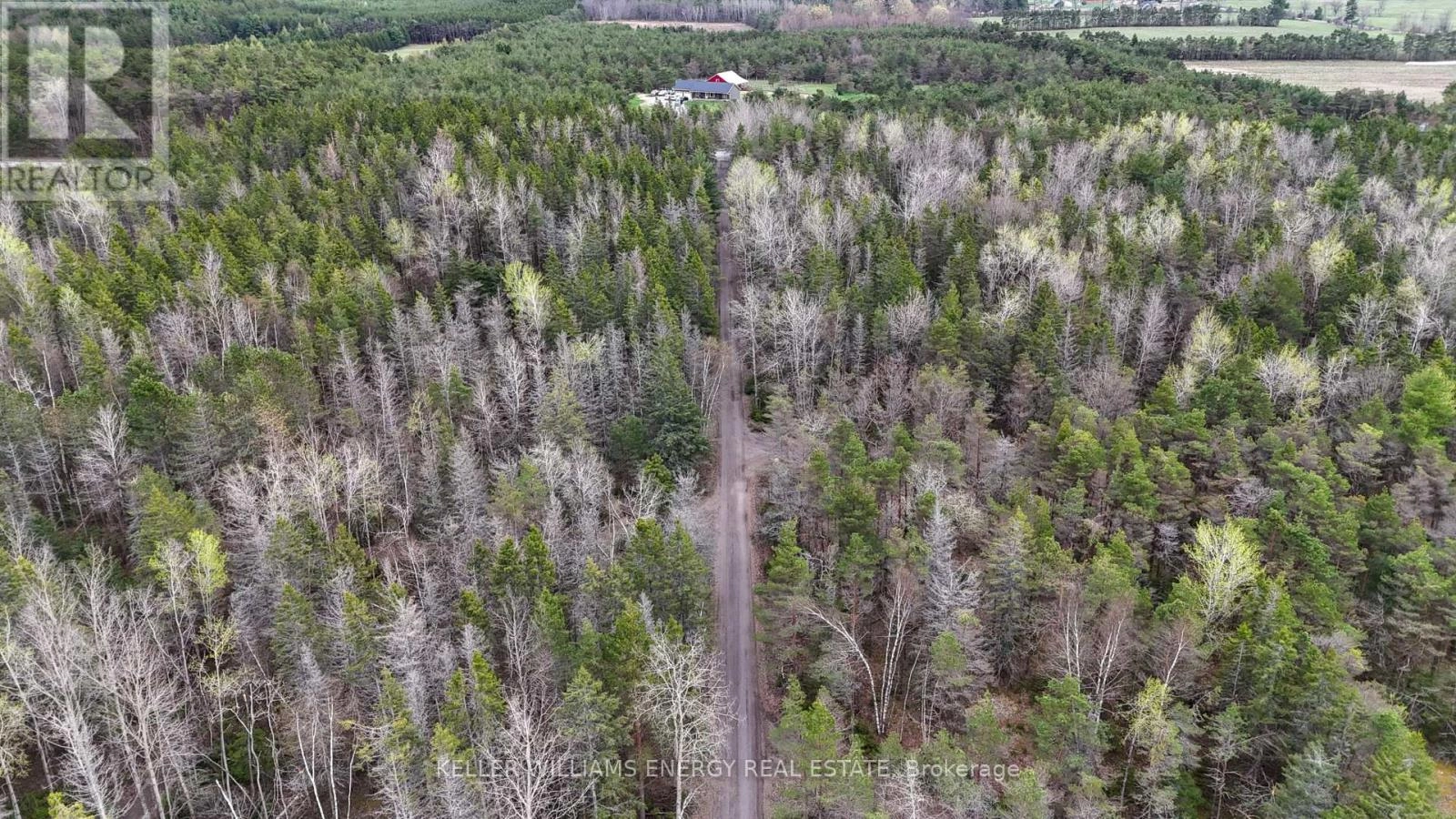 54 Zion Line, Cavan Monaghan, Ontario  L0A 1G0 - Photo 3 - X12332124