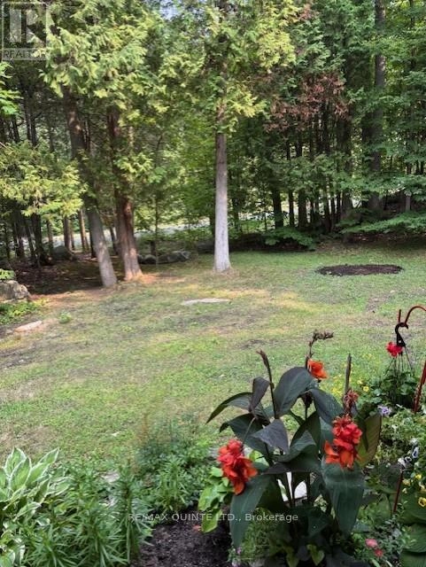 156 Tracey Road S, Tyendinaga, Ontario K0K 2Y0 - Photo 16 - X12332629