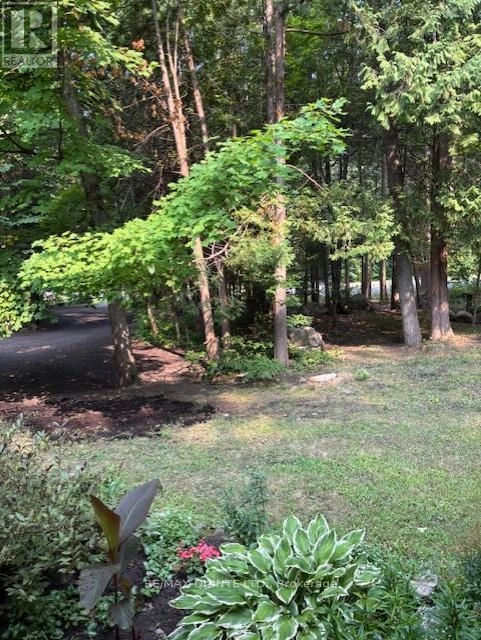 156 Tracey Road S, Tyendinaga, Ontario K0K 2Y0 - Photo 17 - X12332629