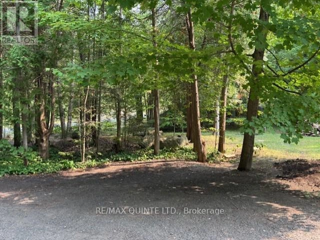 156 Tracey Road S, Tyendinaga, Ontario K0K 2Y0 - Photo 18 - X12332629