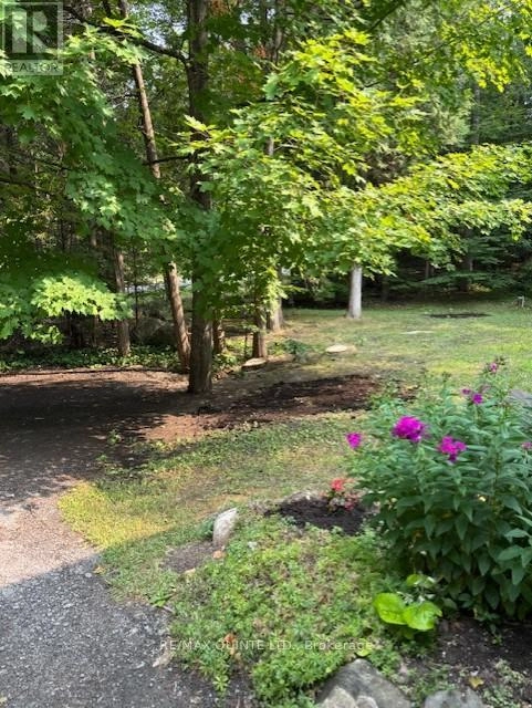 156 Tracey Road S, Tyendinaga, Ontario K0K 2Y0 - Photo 19 - X12332629