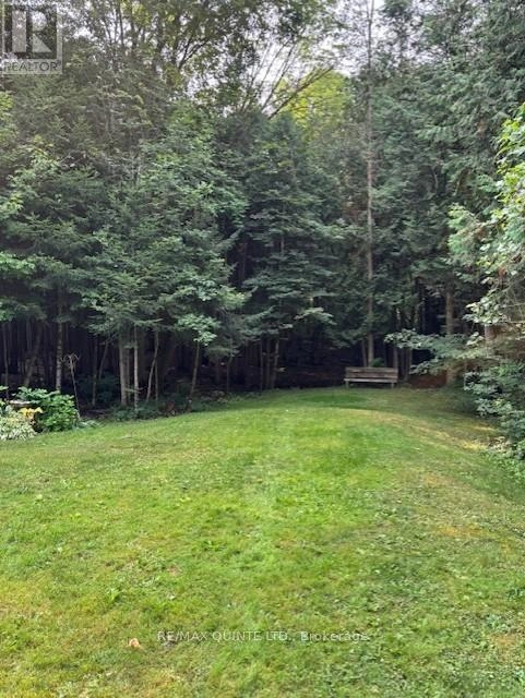 156 Tracey Road S, Tyendinaga, Ontario K0K 2Y0 - Photo 20 - X12332629