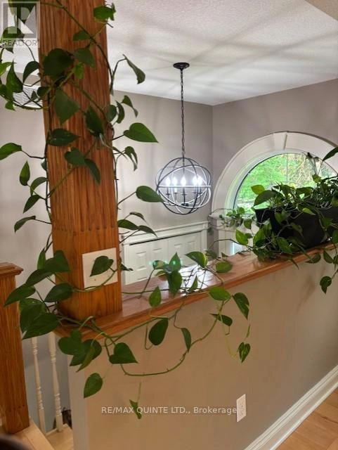 156 Tracey Road S, Tyendinaga, Ontario K0K 2Y0 - Photo 33 - X12332629