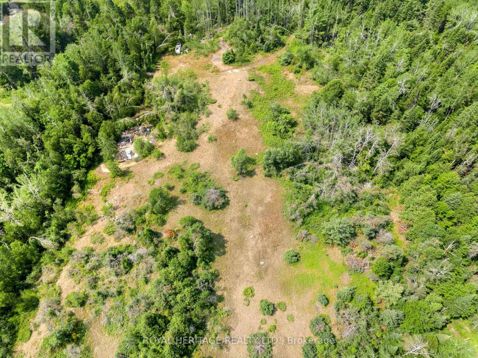 201 Dutch Line Road, Trent Lakes, Ontario K0M 2A0 - Photo 12 - X12332711