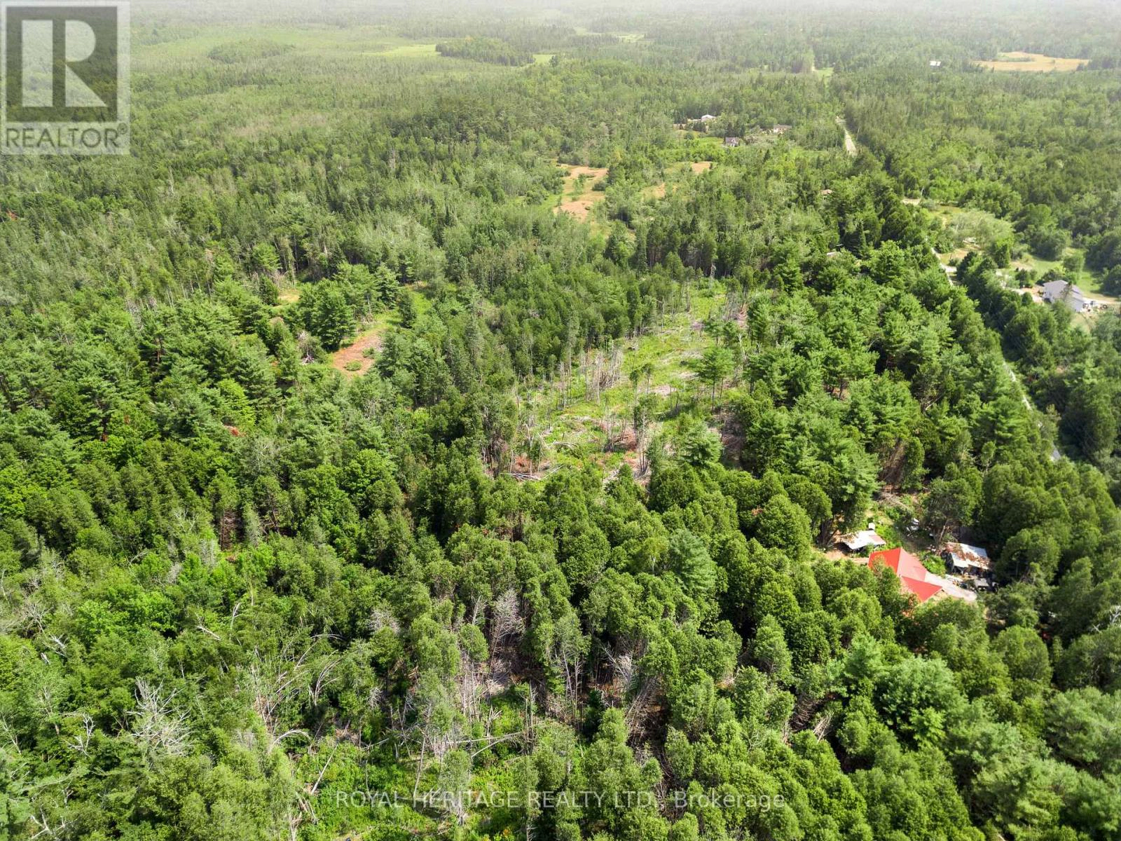 201 Dutch Line Road, Trent Lakes, Ontario K0M 2A0 - Photo 17 - X12332711