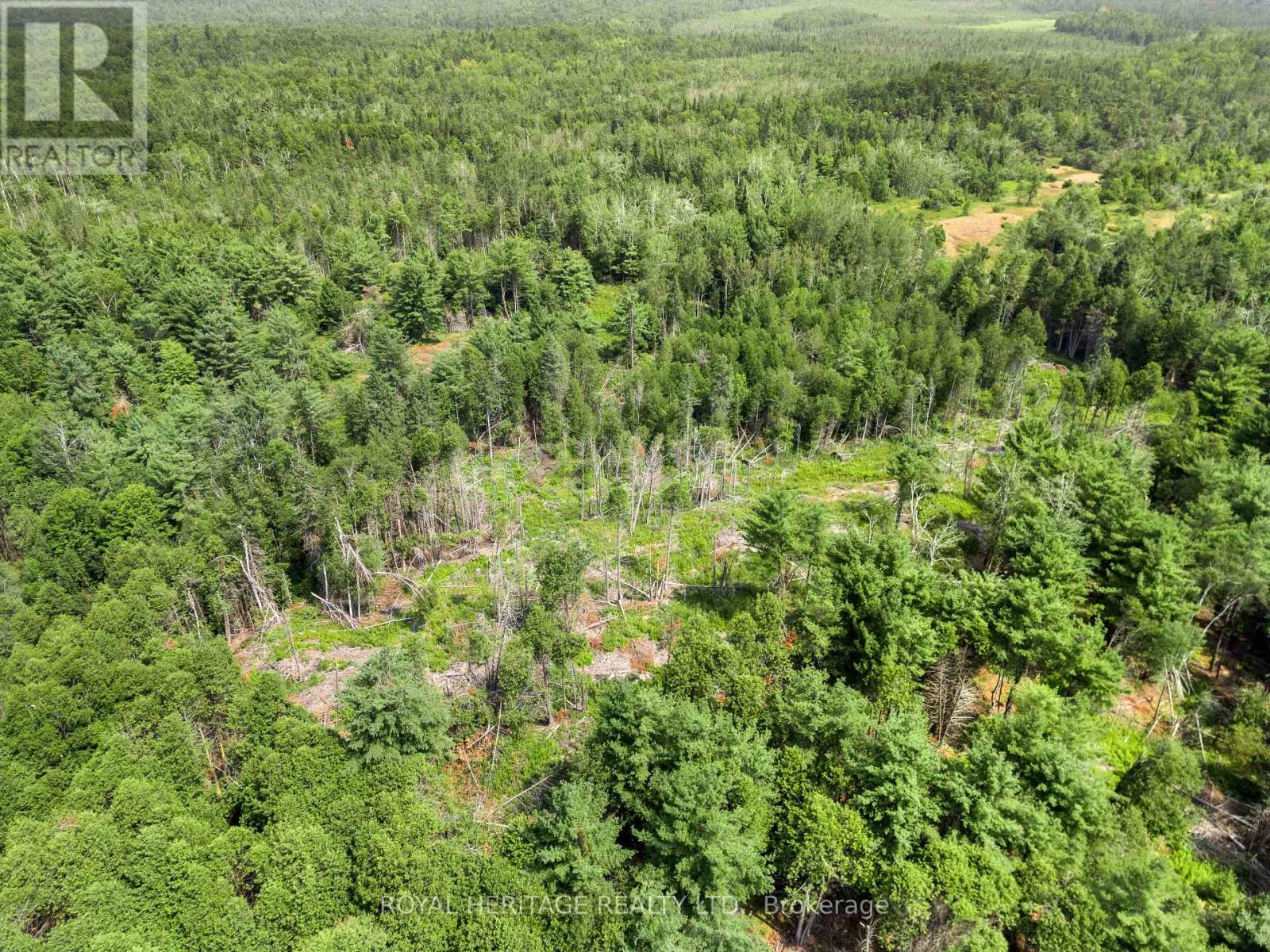 201 Dutch Line Road, Trent Lakes, Ontario K0M 2A0 - Photo 19 - X12332711