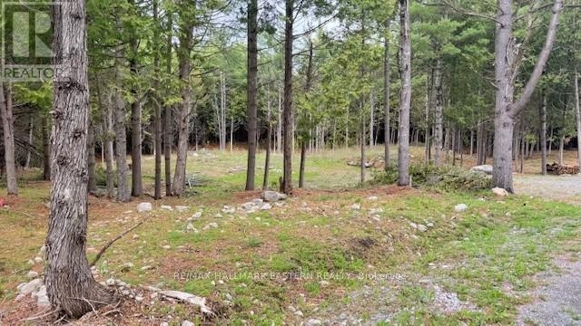 593 County Road 40, Douro-Dummer, Ontario  K0L 2V0 - Photo 1 - X12139379