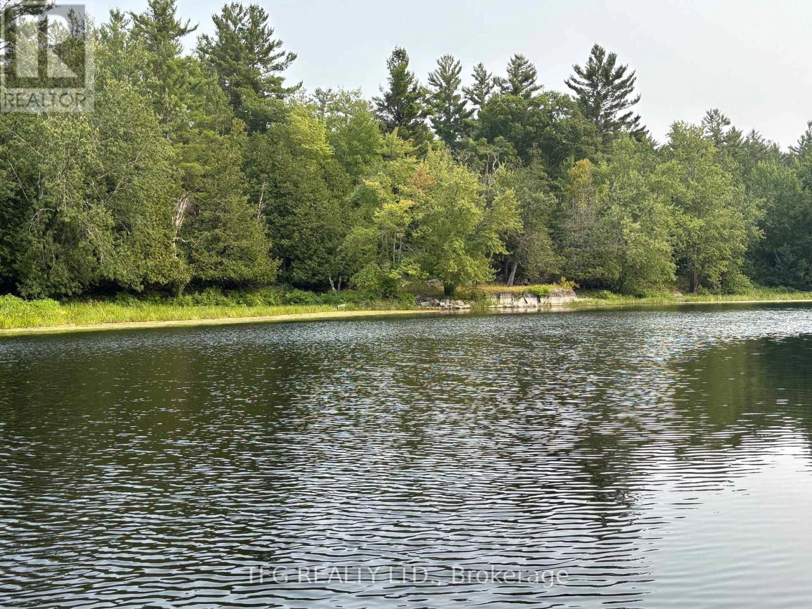 206i Kehoe Lane, Tweed, Ontario  K0K 3J0 - Photo 3 - X12344600
