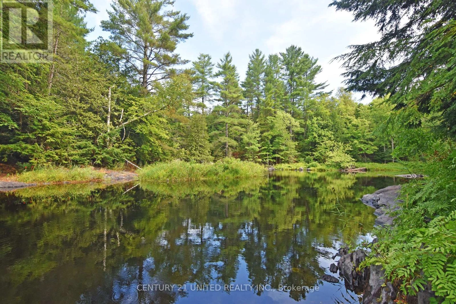 0 Clark Line Road, Tweed, Ontario  K0H 1P0 - Photo 3 - X12344798