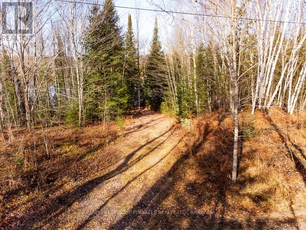 Lot 7 Comfort Drive, Highlands East, Ontario  K0M 1R0 - Photo 3 - X12345070