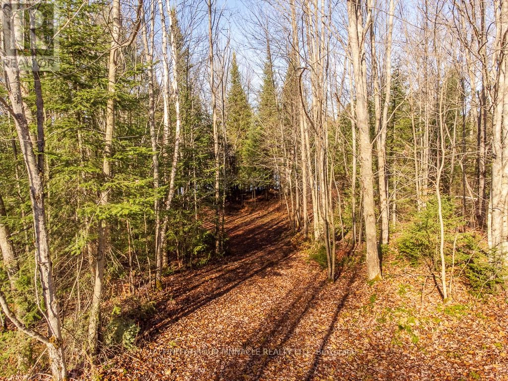 Lot 7 Comfort Drive, Highlands East, Ontario K0M 1R0 - Photo 4 - X12345070