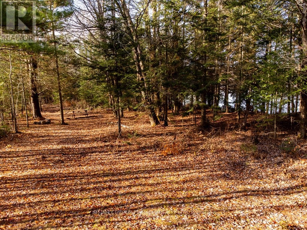 Lot 7 Comfort Drive, Highlands East, Ontario K0M 1R0 - Photo 5 - X12345070