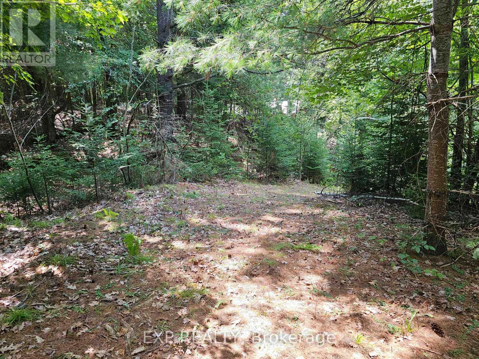 889 A Slate Falls Road, Addington Highlands, Ontario  K0H 1L0 - Photo 1 - X12346149