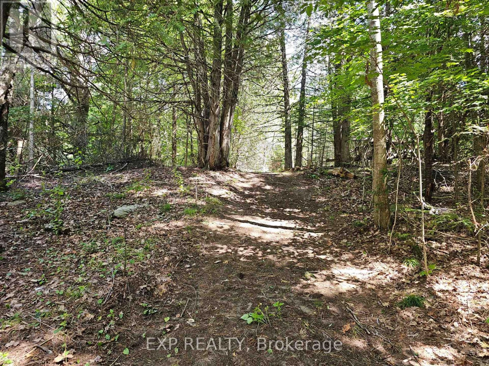 889 A Slate Falls Road, Addington Highlands, Ontario  K0H 1L0 - Photo 2 - X12346149