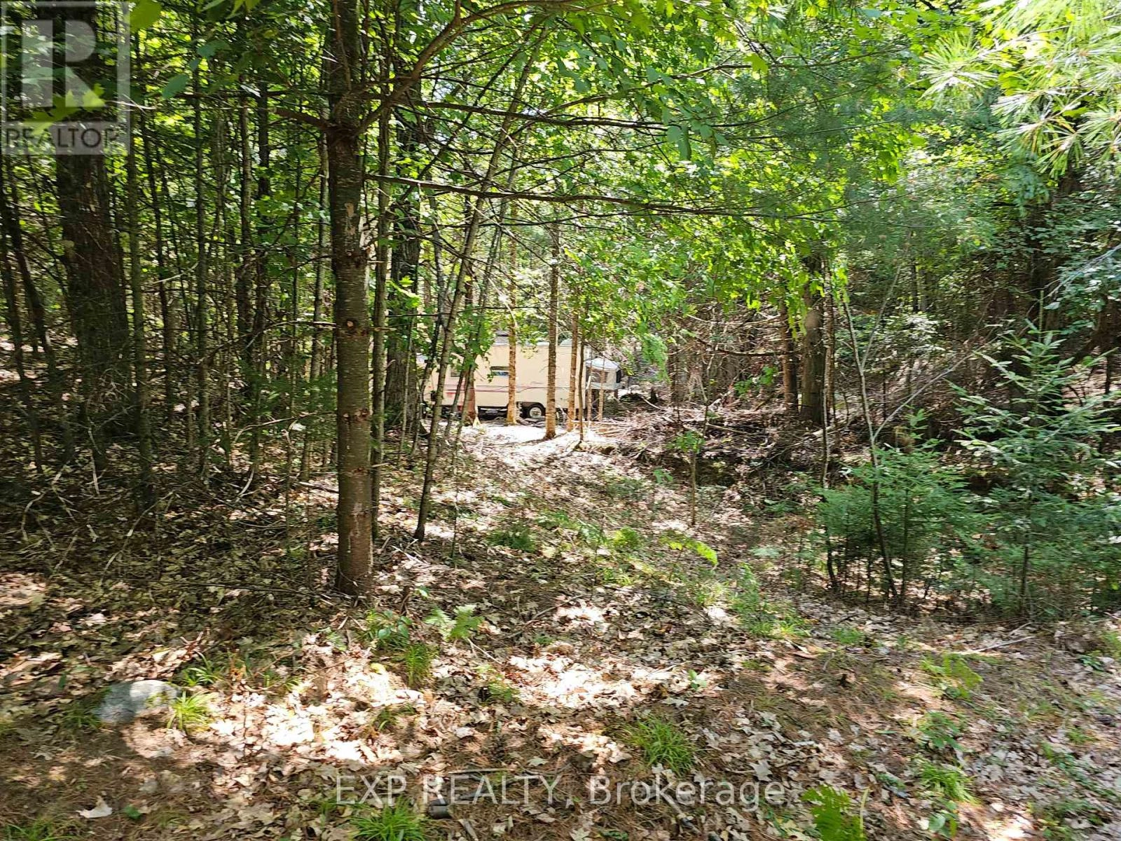 889 A Slate Falls Road, Addington Highlands, Ontario  K0H 1L0 - Photo 3 - X12346149