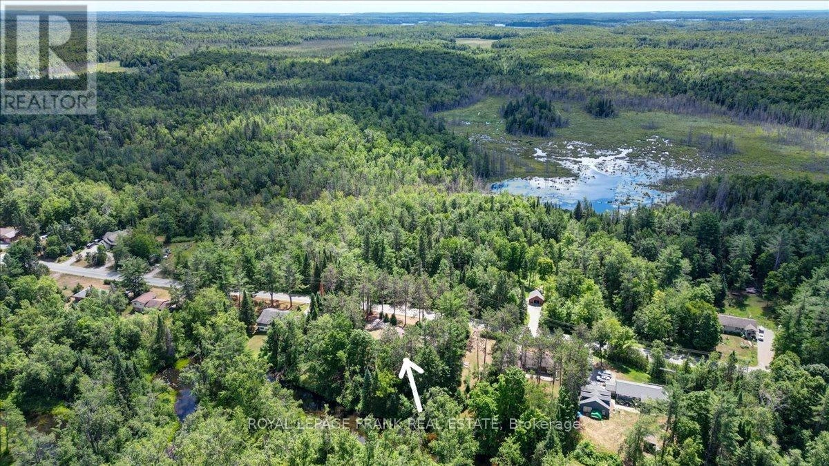119 Mcfadden Road, North Kawartha, Ontario  K0L 1A0 - Photo 3 - X12305645