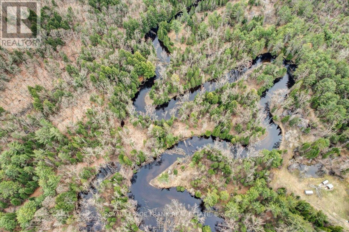 173 Lean Drive, North Kawartha, Ontario  K0L 1A0 - Photo 3 - X12290226