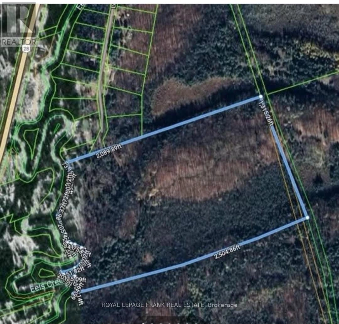 173 Lean Drive, North Kawartha, Ontario  K0L 1A0 - Photo 2 - X12290226