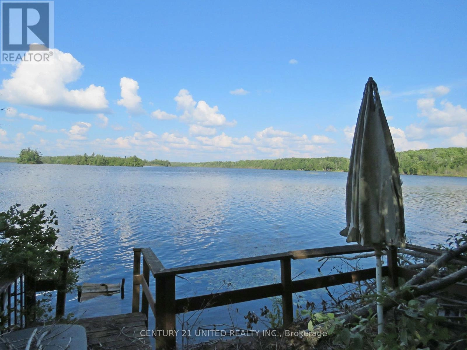 162 Talbot Road, Kawartha Lakes, Ontario  K0M 1K0 - Photo 2 - X12348515