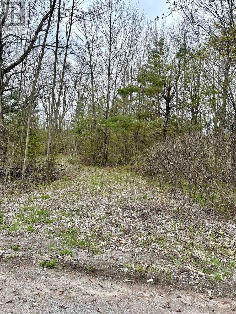 31 Glen Ridge Road, Marmora And Lake, Ontario  K0K 2M0 - Photo 3 - X12348604