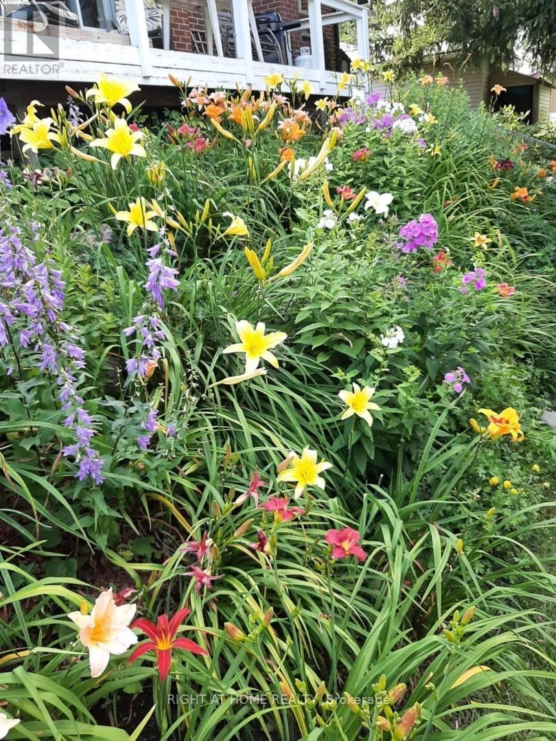 5741 Ochonski Road, Clarington, Ontario L0B 1M0 - Photo 36 - E12348656