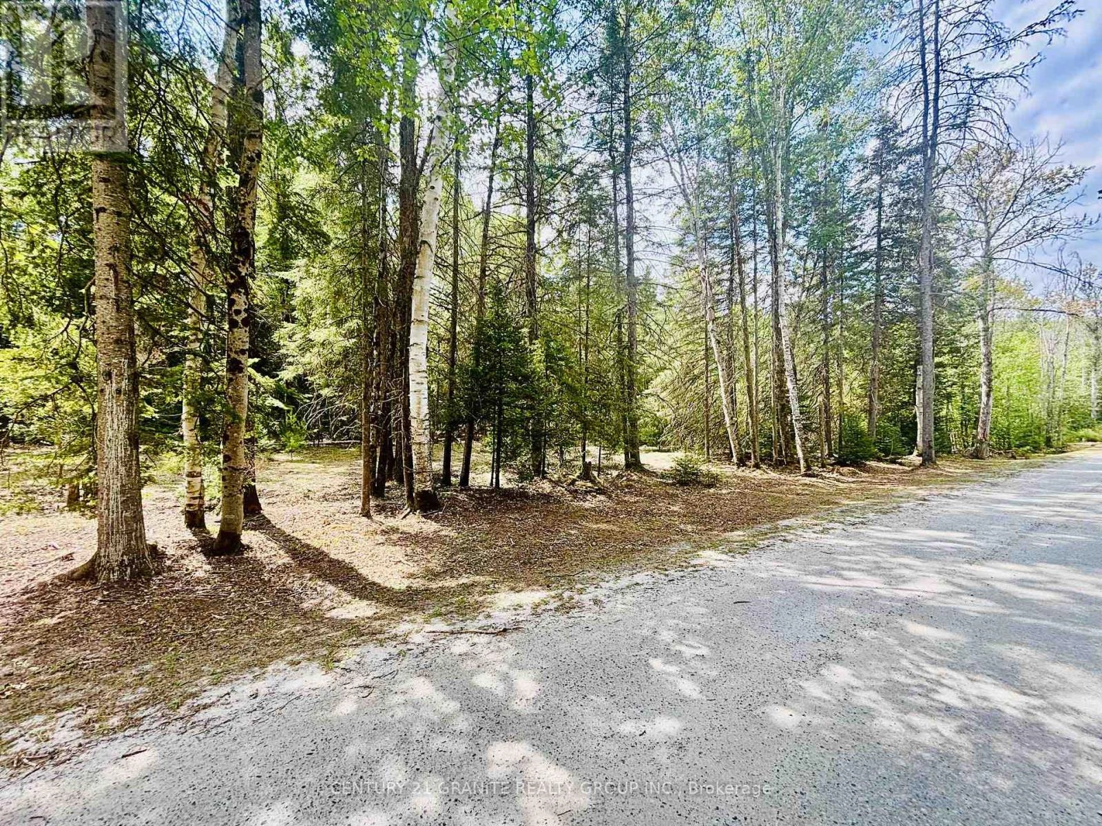 1227 Bay Lake Road, Faraday, Ontario  K0L 1C0 - Photo 3 - X12347537