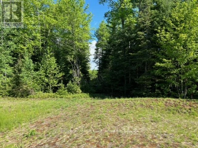 Lot 27 Bancroft Ridge Drive, Bancroft, Ontario  K0L 1C0 - Photo 1 - X12349795