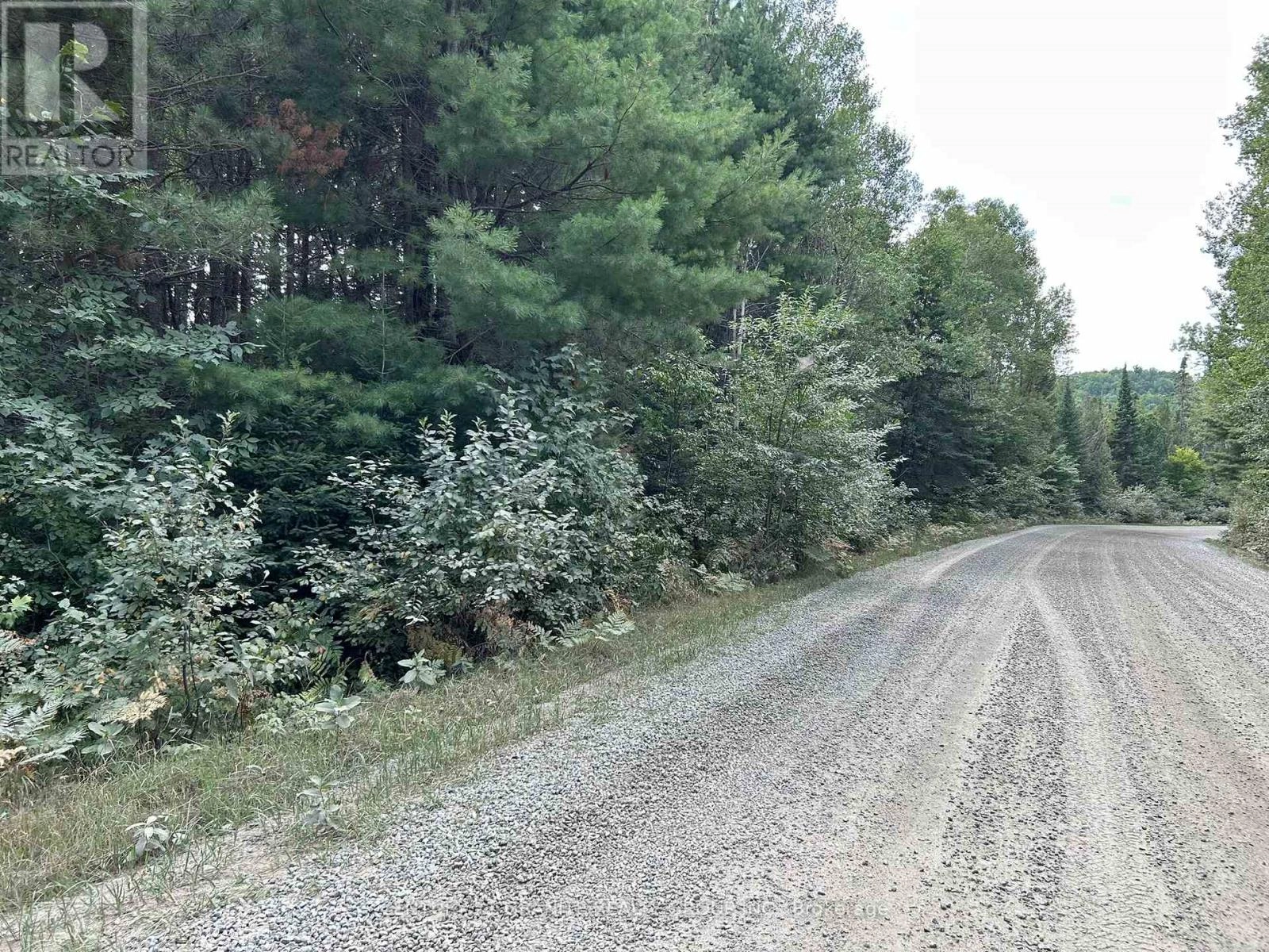 0 New Carlow Road, Hastings Highlands, Ontario  K0L 2R0 - Photo 2 - X12350504