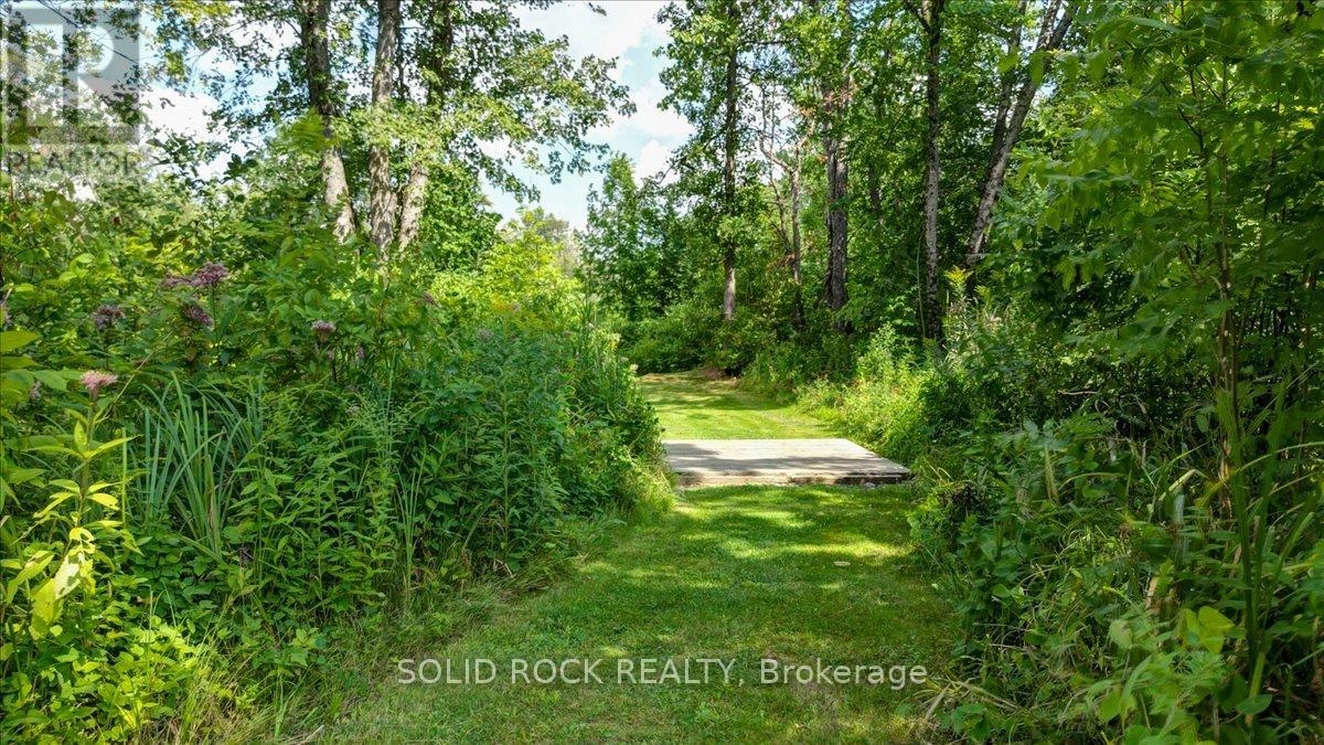 564 Bosley Road, Tweed, Ontario K0K 2K0 - Photo 40 - X12351710