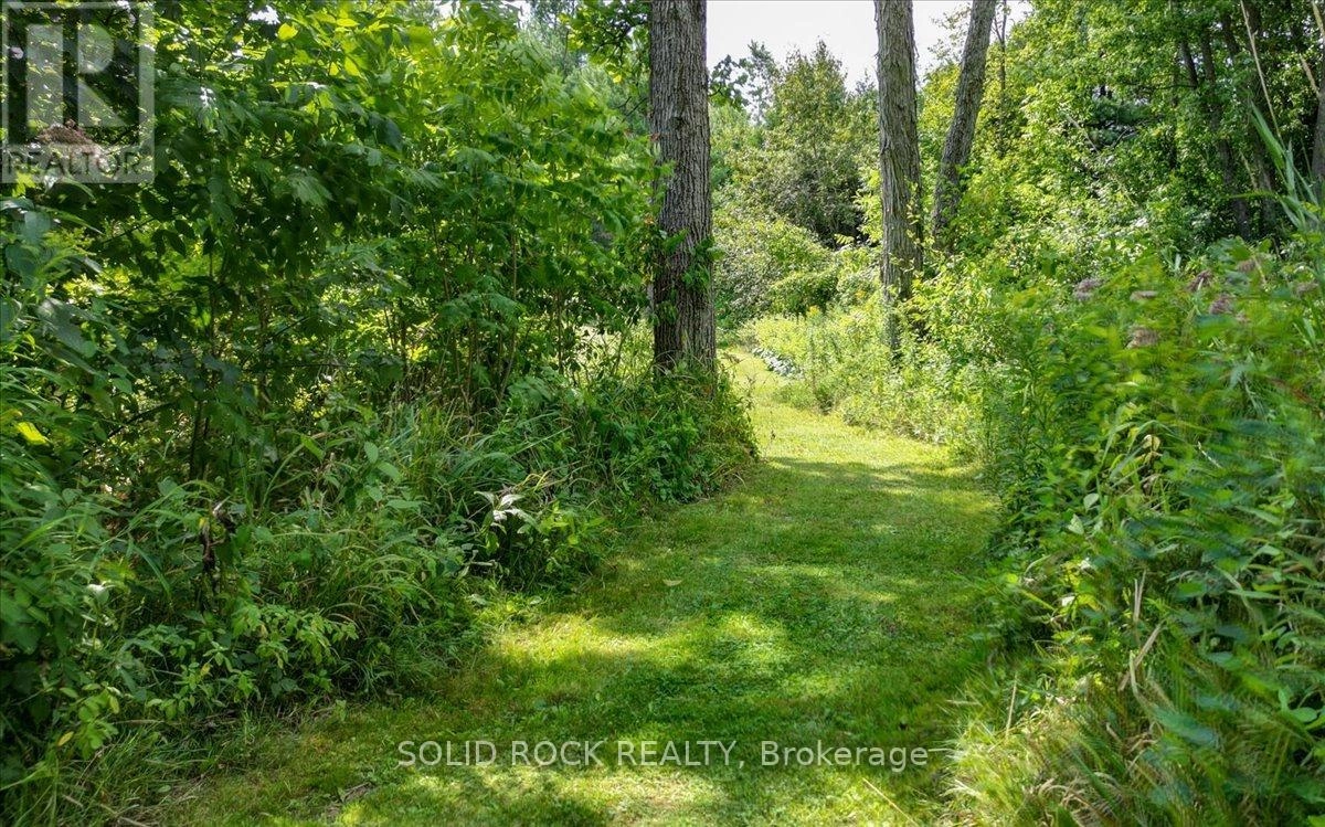 564 Bosley Road, Tweed, Ontario K0K 2K0 - Photo 41 - X12351710