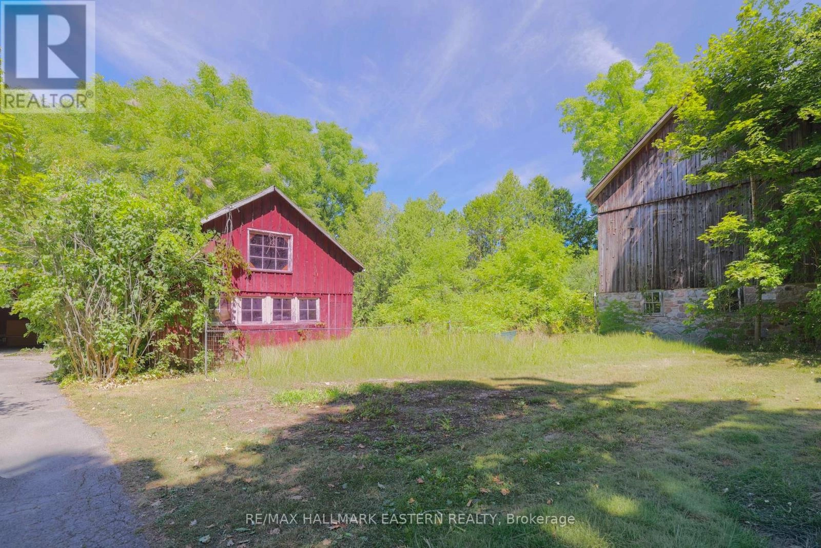 4372 County Road 29, Douro-Dummer, Ontario  K0L 2H0 - Photo 3 - X12353098