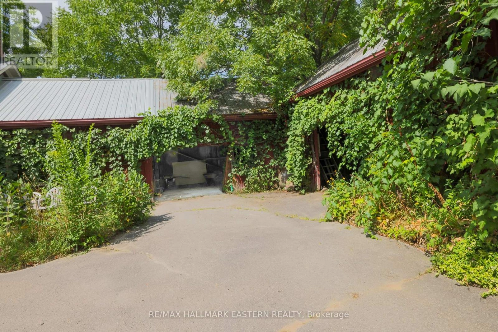 4372 County Road 29, Douro-Dummer, Ontario K0L 2H0 - Photo 30 - X12353098