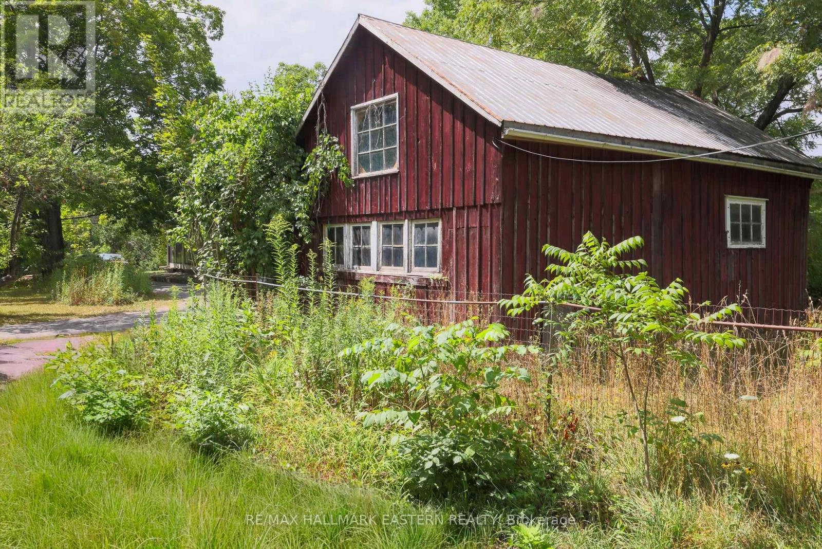 4372 County Road 29, Douro-Dummer, Ontario K0L 2H0 - Photo 31 - X12353098