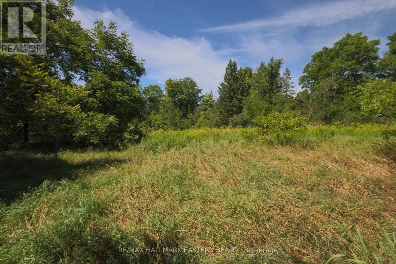 0 County Road 29, Douro-Dummer, Ontario  K0L 2H0 - Photo 1 - X12353263